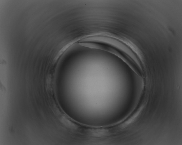 X0000090871001200708031005