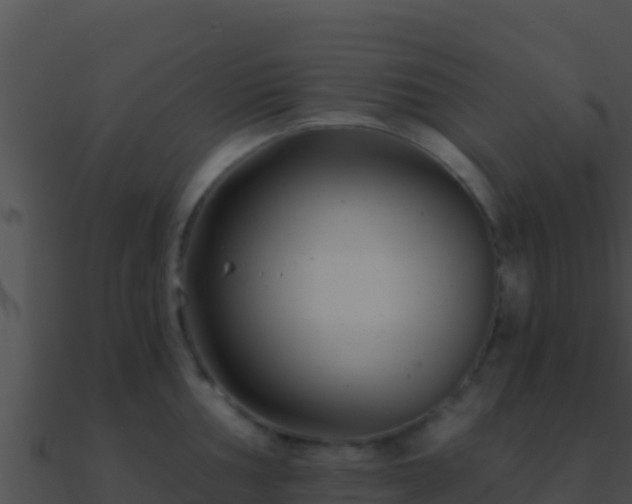 X0000090871002200708031005