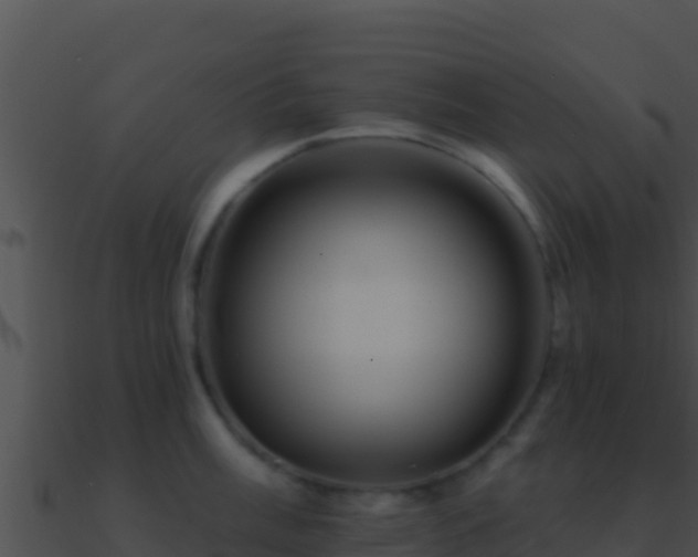 X0000090871003200708031005