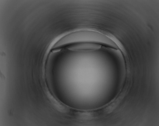 X0000090871004200708031005