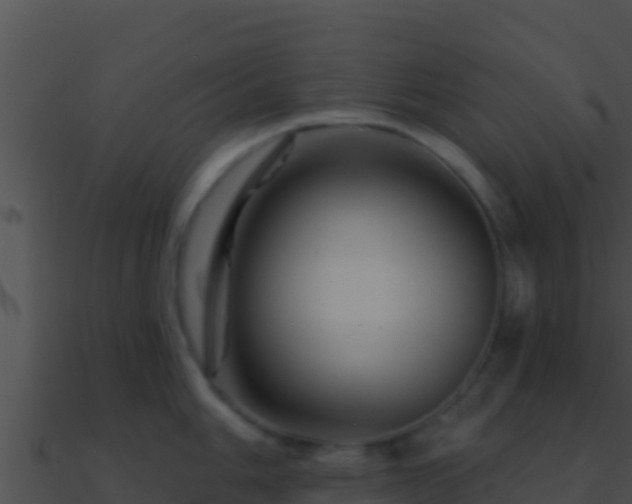 X0000090871006200708031005