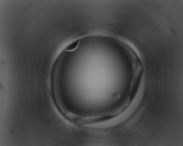 X0000090871007200708031005