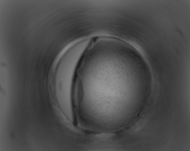 X0000090871008200708031005