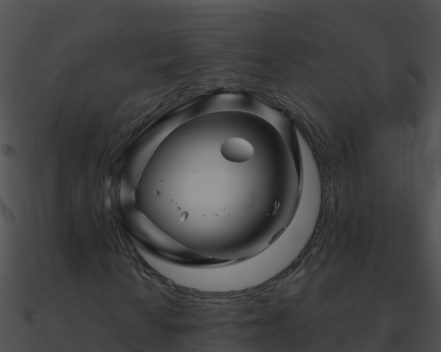 X0000090871010200708031004