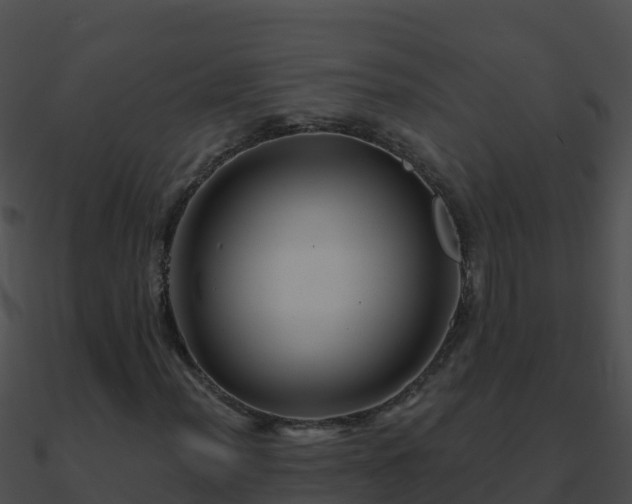 X0000090871012200708031004