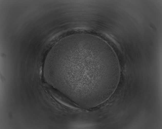 X0000090871015200708031004