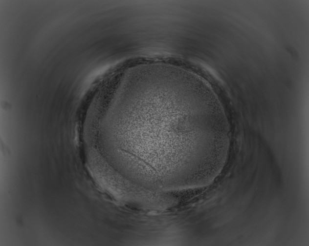 X0000090871016200708031004