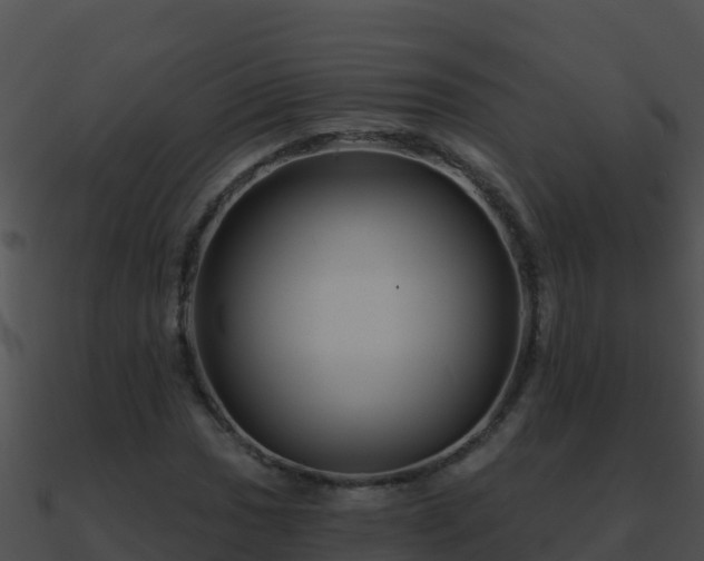 X0000090871017200708031004