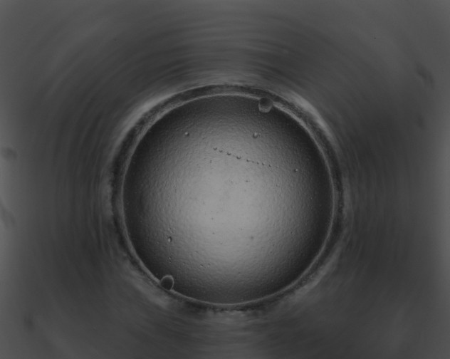 X0000090871019200708031004