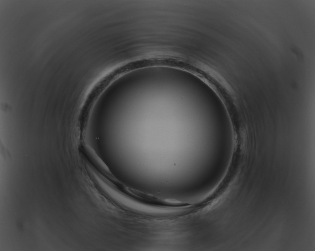 X0000090871021200708031004