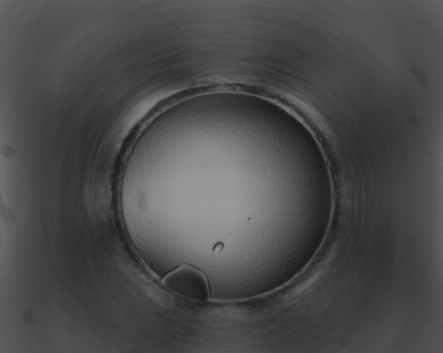 X0000090871023200708031004