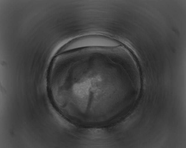 X0000090871024200708031004