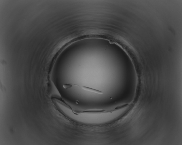 X0000090871025200708031004