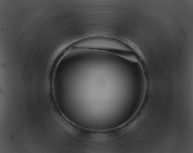 X0000090871027200708031004