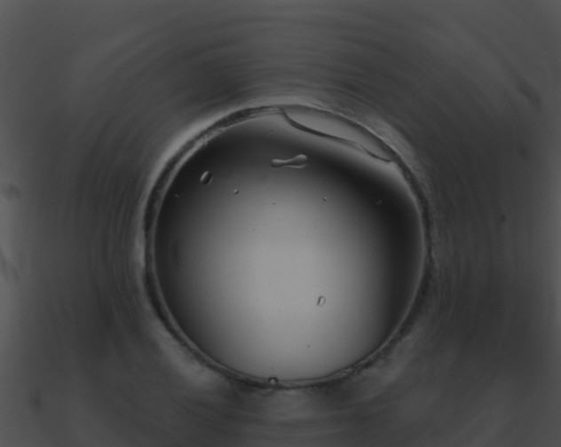 X0000090871028200708031004