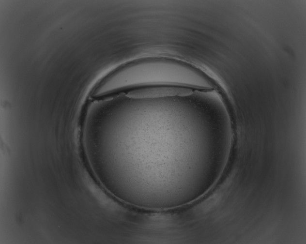 X0000090871029200708031004