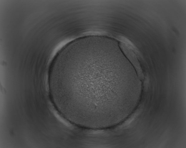 X0000090871030200708031005