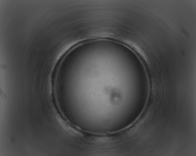 X0000090871031200708031005