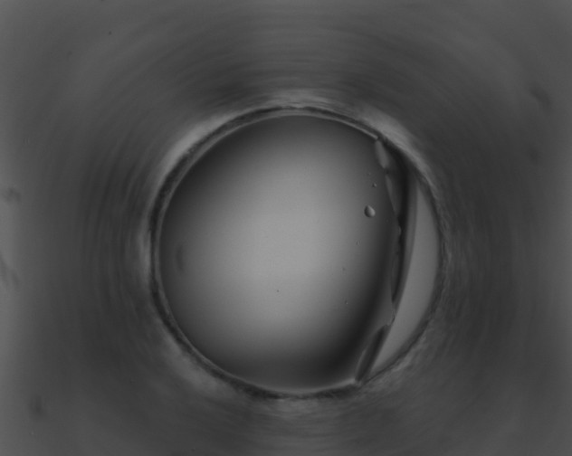 X0000090871032200708031005