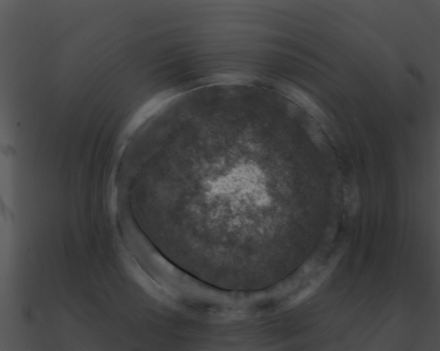 X0000090871034200708031005