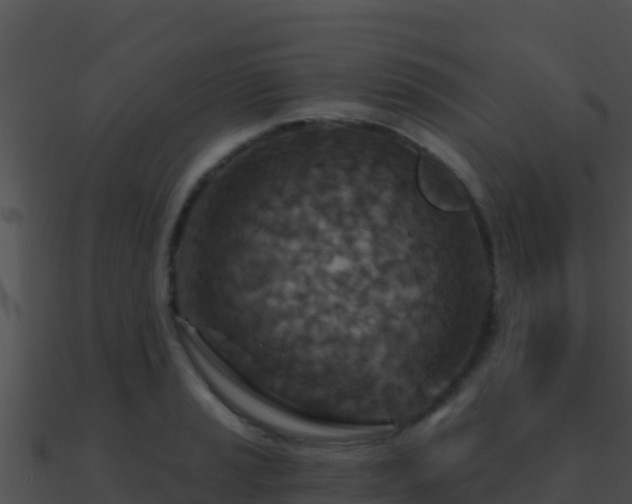 X0000090871037200708031005