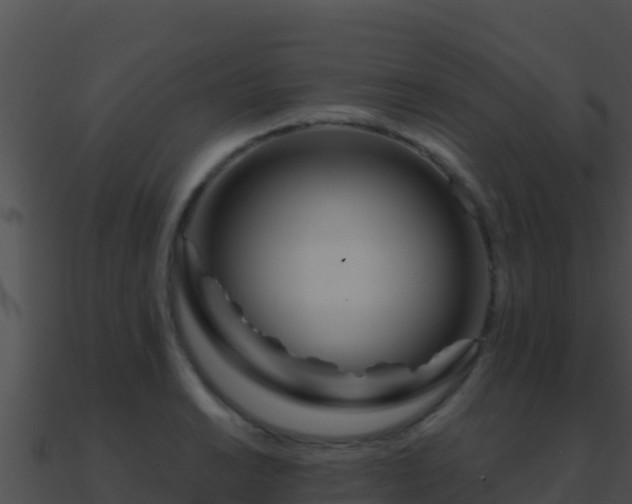 X0000090871038200708031005