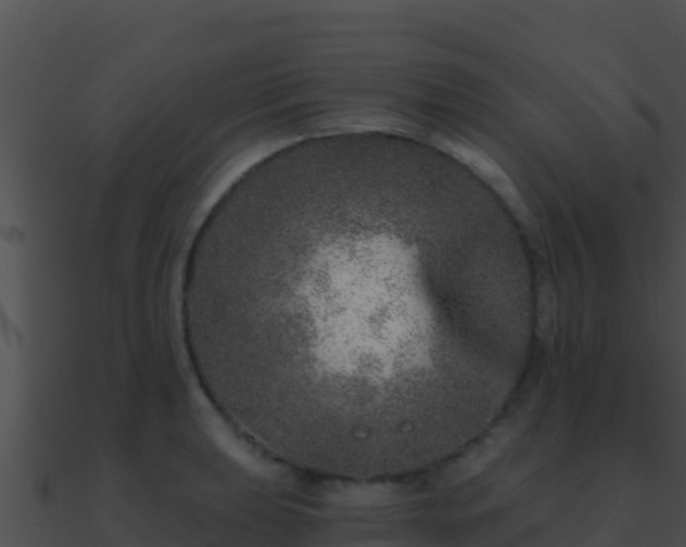 X0000090871039200708031005