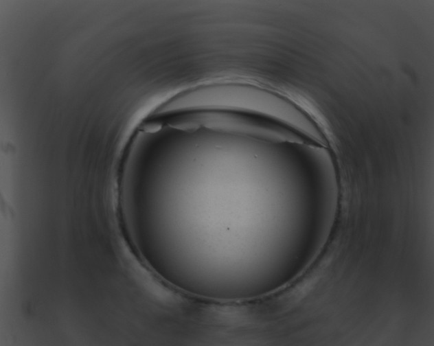 X0000090871040200708031005