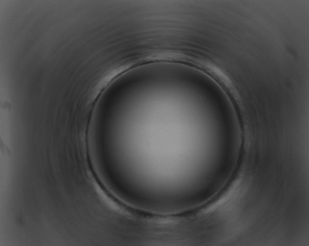 X0000090871041200708031005