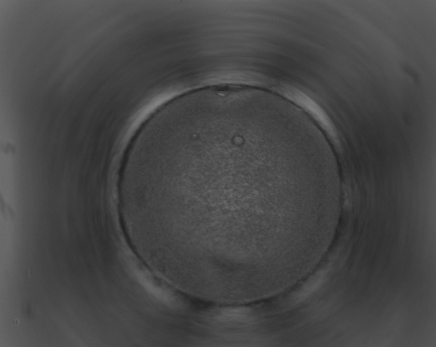 X0000090871043200708031005