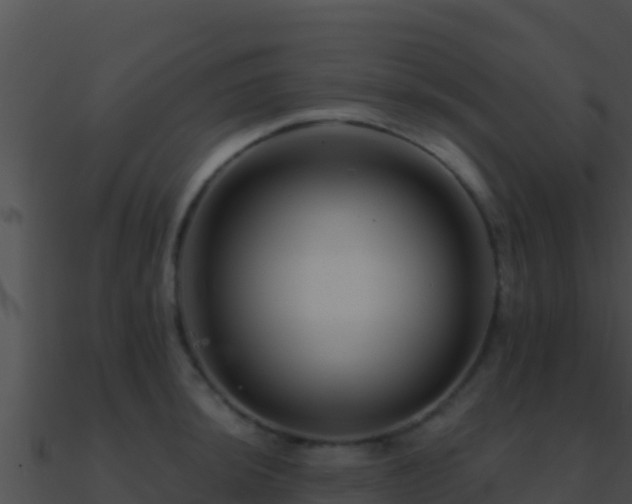 X0000090871044200708031005