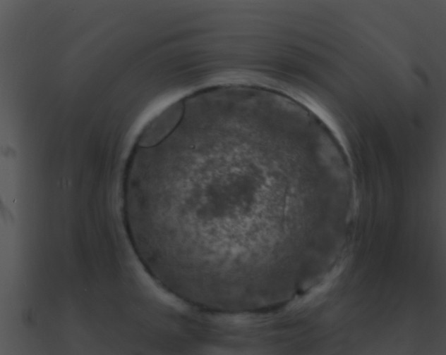 X0000090871045200708031005