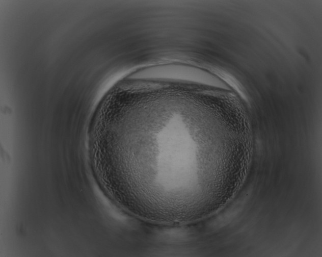 X0000090871047200708031005