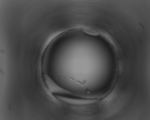 X0000090871048200708031005