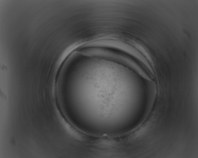 X0000090871050200708031005