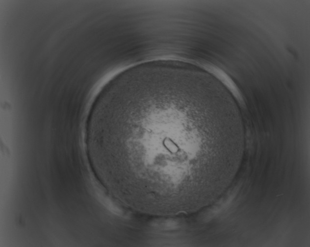 X0000090871051200708031005