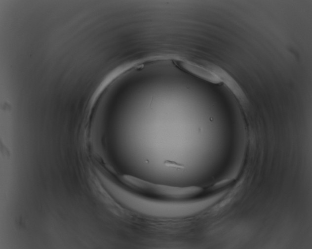 X0000090871052200708031005