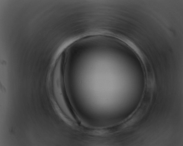 X0000090871053200708031005