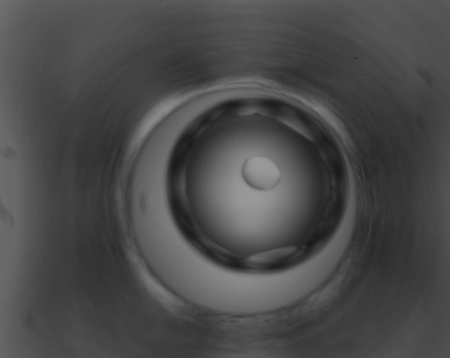 X0000090871054200708031005