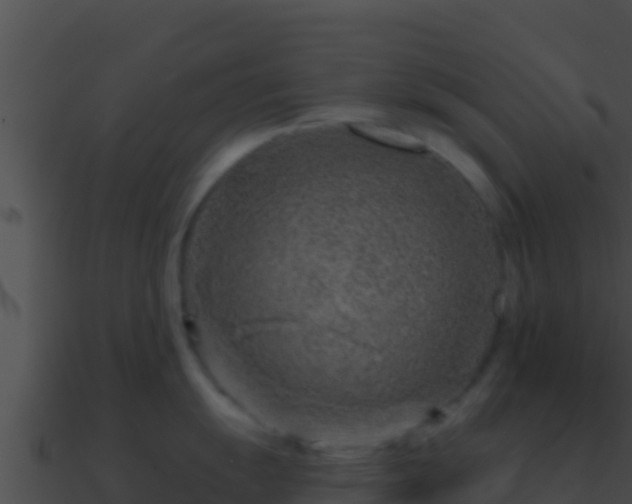 X0000090871055200708031005