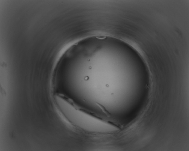 X0000090871056200708031005