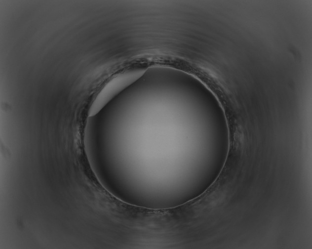 X0000090871062200708031004