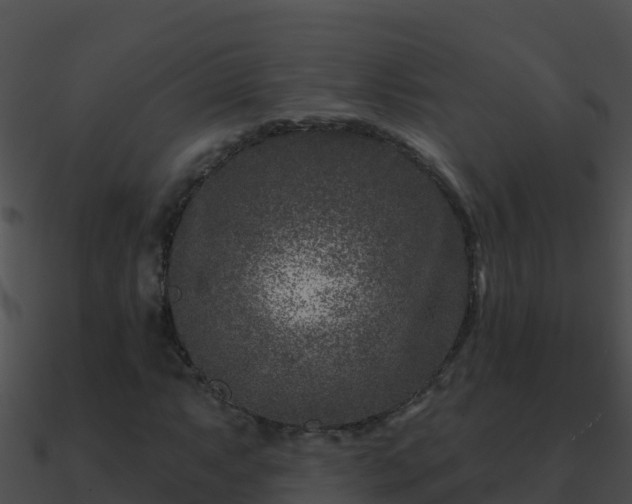 X0000090871063200708031004