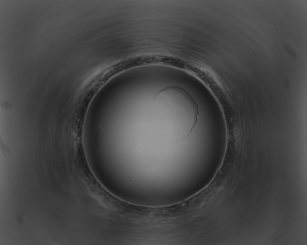 X0000090871064200708031004