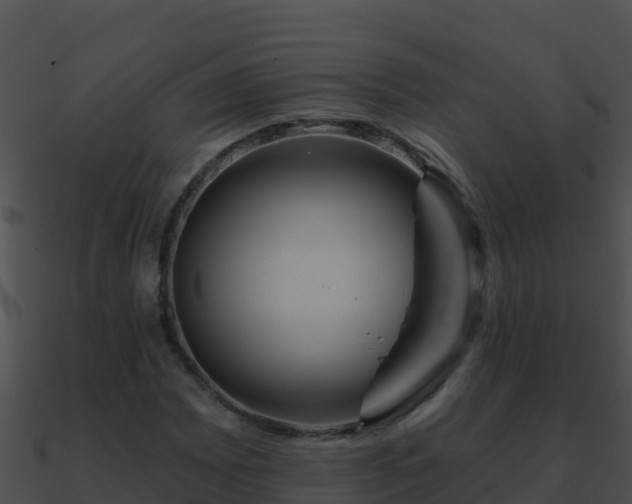 X0000090871065200708031004