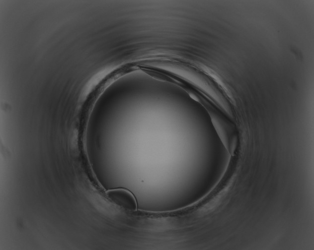 X0000090871066200708031004