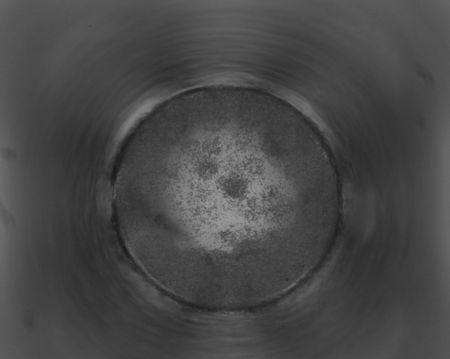 X0000090871067200708031004