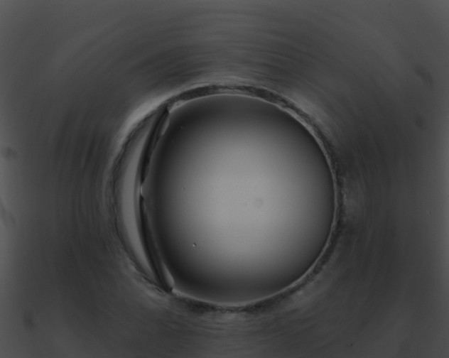 X0000090871070200708031004