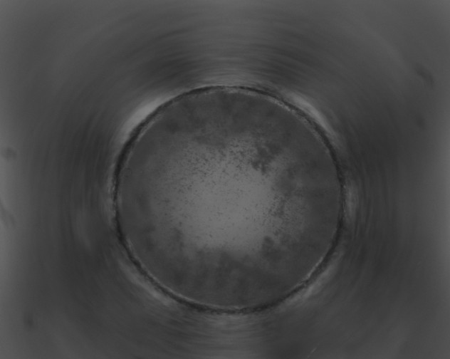 X0000090871071200708031004