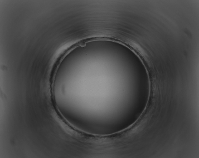 X0000090871072200708031004